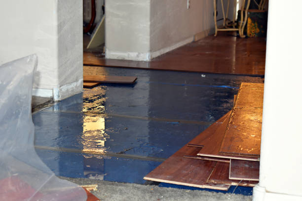 Professional Water Damage Restoration technician working in Dansville, MI