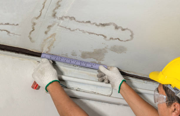 Reliable Water Damage Restoration contractor in Dansville, MI by Water Damage Irwin